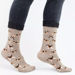 κάλτσα σκύλος